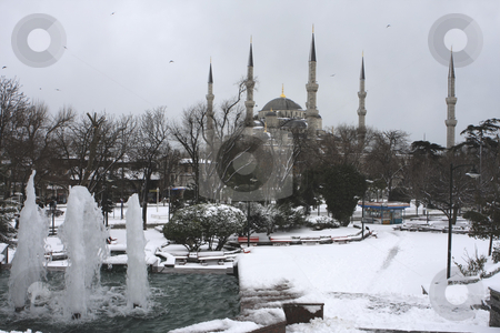 To use this stock image in your creative project, please select the size you need over to the right and click the "Add to Cart" button.
Your downloaded image will come with the Cutcaster watermark removed so don’t worry about the watermark you see on this page. 339 Snow covering the Blue Mosque in Istanbul Turkey stock photo, First snow in 5 years in Istanbul Turkey covers the Blue Mosque (Feb 2008) by Sharron Schiefelbein