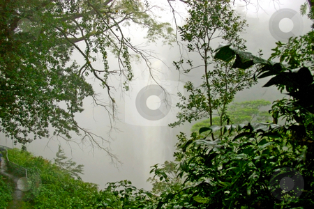 To use this stock image in your creative project, please select the size you need over to the right and click the "Add to Cart" button.
Your downloaded image will come with the Cutcaster watermark removed so don’t worry about the watermark you see on this page. Waterfall in fog stock photo, Waterfall on the Big Island of Hawaii on the Hilo side by Sharron Schiefelbein