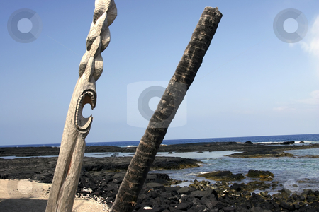To use this stock image in your creative project, please select the size you need over to the right and click the "Add to Cart" button.
Your downloaded image will come with the Cutcaster watermark removed so don’t worry about the watermark you see on this page. Caved poles in Hawaii stock photo, Caved poles on the edge of the ocean by Sharron Schiefelbein