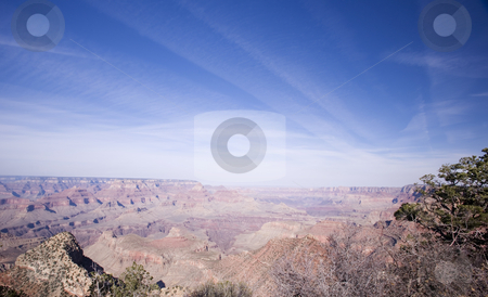 To use this stock image in your creative project, please select the size you need over to the right and click the "Add to Cart" button.
Your downloaded image will come with the Cutcaster watermark removed so don’t worry about the watermark you see on this page. 389 View of the Desert in Uath stock photo, A beautiful of the desert in Utah's National Park by Sharron Schiefelbein