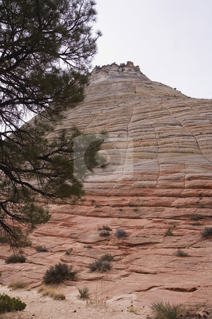 To use this stock image in your creative project, please select the size you need over to the right and click the "Add to Cart" button.
Your downloaded image will come with the Cutcaster watermark removed so don’t worry about the watermark you see on this page. 129 Beautiful Mountain in Utah stock photo, Mountain in Grand Staircase National Park in Utah by Sharron Schiefelbein