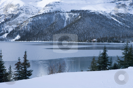 To use this stock image in your creative project, please select the size you need over to the right and click the "Add to Cart" button.
Your downloaded image will come with the Cutcaster watermark removed so don’t worry about the watermark you see on this page. Frozen Lake in Jasper Park Alberta stock photo, Lake freezing over in cold weather by Sharron Schiefelbein