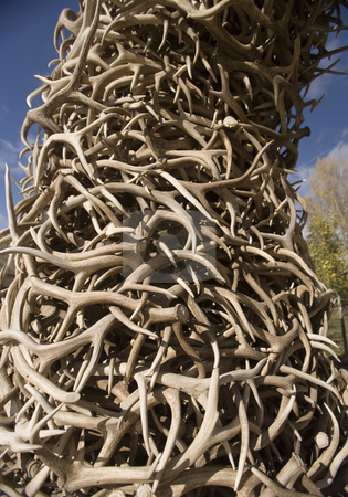To use this stock image in your creative project, please select the size you need over to the right and click the "Add to Cart" button.
Your downloaded image will come with the Cutcaster watermark removed so don’t worry about the watermark you see on this page. 401 Stack of Antlers from the Elk reserve stock photo, Stack of Antlers from the Elk reserve by Sharron Schiefelbein
