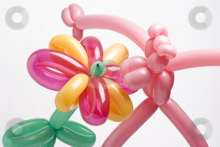 To use this stock image in your creative project, please select the size you need over to the right and click the "Add to Cart" button.
Your downloaded image will come with the Cutcaster watermark removed so don’t worry about the watermark you see on this page. Smelling balloon flower stock photo, A pink balloon panther smelling a multi-colored balloon flower by Yann Poirier