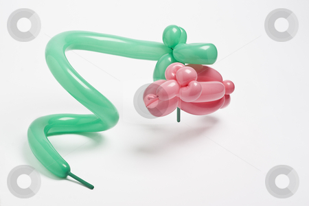 To use this stock image in your creative project, please select the size you need over to the right and click the "Add to Cart" button.
Your downloaded image will come with the Cutcaster watermark removed so don’t worry about the watermark you see on this page. Snake feast stock photo, Giant green ballon snake eating a poor defenseless pink balloon sheep by Yann Poirier