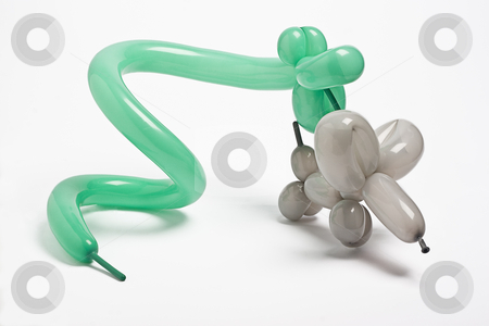 To use this stock image in your creative project, please select the size you need over to the right and click the "Add to Cart" button.
Your downloaded image will come with the Cutcaster watermark removed so don’t worry about the watermark you see on this page. The hunt! stock photo, Giant green ballon snake attacking a poor defenseless grey balloon mouse by Yann Poirier
