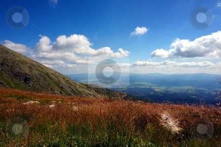 To use this stock image in your creative project, please select the size you need over to the right and click the "Add to Cart" button.
Your downloaded image will come with the Cutcaster watermark removed so don’t worry about the watermark you see on this page. Mountain meadow with flower in foreground stock photo, Mountain meadow with flower in foreground in summer day with clouds on blue sky by Juraj Kovacik