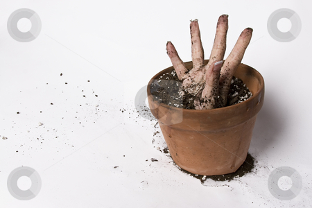 To use this stock image in your creative project, please select the size you need over to the right and click the "Add to Cart" button.
Your downloaded image will come with the Cutcaster watermark removed so don’t worry about the watermark you see on this page. Stretching hand stock photo, Women hand stretching out of a pot of earth by Yann Poirier