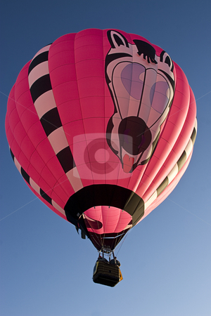 To use this stock image in your creative project, please select the size you need over to the right and click the "Add to Cart" button.
Your downloaded image will come with the Cutcaster watermark removed so don’t worry about the watermark you see on this page. Multi-colored hot air ballon stock photo, Early morning lift off a multi-coloured hot air ballon by Yann Poirier
