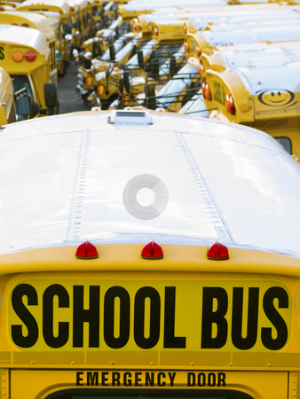 To use this stock image in your creative project, please select the size you need over to the right and click the "Add to Cart" button.
Your downloaded image will come with the Cutcaster watermark removed so don’t worry about the watermark you see on this page. School bus parking stock photo, A lot of school buses in a parking. by Ignacio Gonzalez Prado