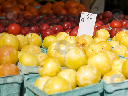 To use this stock image in your creative project, please select the size you need over to the right and click the "Add to Cart" button.
Your downloaded image will come with the Cutcaster watermark removed so don’t worry about the watermark you see on this page. Market groceries stock photo, Yellow and red plumes in blue boxes. by Ignacio Gonzalez Prado