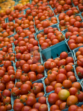 To use this stock image in your creative project, please select the size you need over to the right and click the "Add to Cart" button.
Your downloaded image will come with the Cutcaster watermark removed so don’t worry about the watermark you see on this page. Market groceries stock photo, A few rows of red tomatoes in blue boxes. by Ignacio Gonzalez Prado