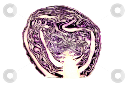 To use this stock image in your creative project, please select the size you need over to the right and click the "Add to Cart" button.
Your downloaded image will come with the Cutcaster watermark removed so don’t worry about the watermark you see on this page. Red Cabbage stock photo, Red cabbage cut in half on a white background by Keith Wilson