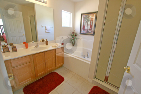To use this stock image in your creative project, please select the size you need over to the right and click the "Add to Cart" button.
Your downloaded image will come with the Cutcaster watermark removed so don’t worry about the watermark you see on this page. Master Bathroom stock photo, A Master Bathroom in a House in Florida. by Lucy Clark