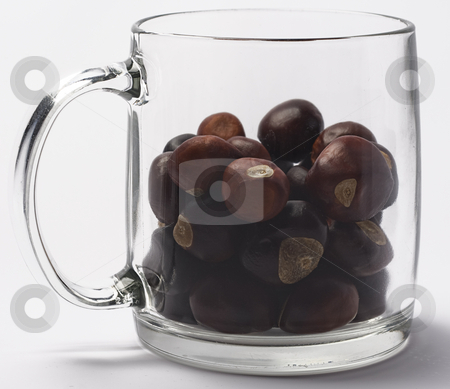 To use this stock image in your creative project, please select the size you need over to the right and click the "Add to Cart" button.
Your downloaded image will come with the Cutcaster watermark removed so don’t worry about the watermark you see on this page. Nuts in a glass stock photo, Glass filled with wild nuts by Yann Poirier