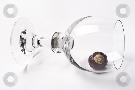 To use this stock image in your creative project, please select the size you need over to the right and click the "Add to Cart" button.
Your downloaded image will come with the Cutcaster watermark removed so don’t worry about the watermark you see on this page. Tippy glass stock photo, Glass of wine tipped over containing one chestnut by Yann Poirier