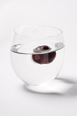 To use this stock image in your creative project, please select the size you need over to the right and click the "Add to Cart" button.
Your downloaded image will come with the Cutcaster watermark removed so don’t worry about the watermark you see on this page. One floating nut stock photo, One chestnut floating in a glass of water by Yann Poirier
