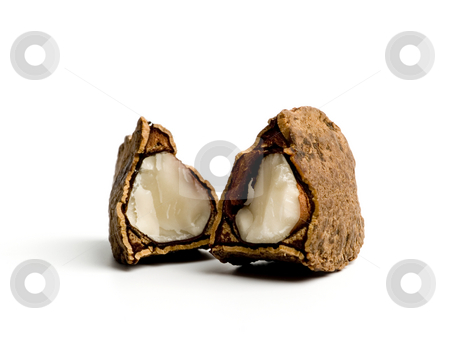 To use this stock image in your creative project, please select the size you need over to the right and click the "Add to Cart" button.
Your downloaded image will come with the Cutcaster watermark removed so don’t worry about the watermark you see on this page. Cashew stock photo, Cashew nuts close up on white background. by Ignacio Gonzalez Prado