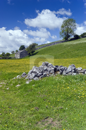 To use this stock image in your creative project, please select the size you need over to the right and click the "Add to Cart" button.
Your downloaded image will come with the Cutcaster watermark removed so don’t worry about the watermark you see on this page. Langstrothdale stock photo, Langstrothdale in Yorkshire Dales North Yorkshire England by Stephen Meese