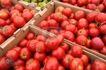 To use this stock image in your creative project, please select the size you need over to the right and click the "Add to Cart" button.
Your downloaded image will come with the Cutcaster watermark removed so don’t worry about the watermark you see on this page. Summer Tomatoes stock photo, Boxes of bright red tomatoes ready for sale at a farmers market by Lynn Bendickson