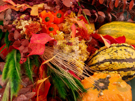 To use this stock image in your creative project, please select the size you need over to the right and click the "Add to Cart" button.
Your downloaded image will come with the Cutcaster watermark removed so don’t worry about the watermark you see on this page. Fall theme stock photo, FAll background with gordes by Cora Reed