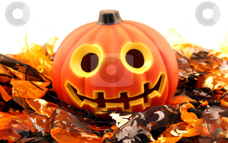 To use this stock image in your creative project, please select the size you need over to the right and click the "Add to Cart" button.
Your downloaded image will come with the Cutcaster watermark removed so don’t worry about the watermark you see on this page. Halloween theme stock photo, Halloween pumpkin smiling for the camera by Cora Reed