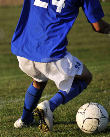 To use this stock image in your creative project, please select the size you need over to the right and click the "Add to Cart" button.
Your downloaded image will come with the Cutcaster watermark removed so don’t worry about the watermark you see on this page. Soccer Ball Dribble stock photo, by W. Paul Thomas