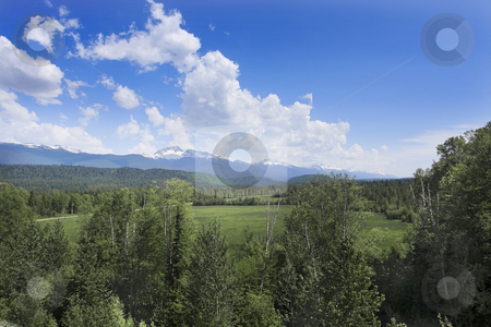 To use this stock image in your creative project, please select the size you need over to the right and click the "Add to Cart" button.
Your downloaded image will come with the Cutcaster watermark removed so don’t worry about the watermark you see on this page. Cloudscape with grassland, trees, and mountains stock photo, Cloudscape with grassland, trees, and mountains by Sharron Schiefelbein