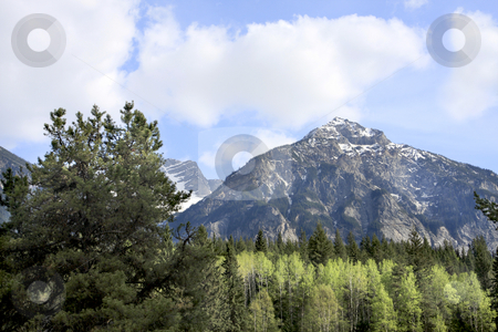 To use this stock image in your creative project, please select the size you need over to the right and click the "Add to Cart" button.
Your downloaded image will come with the Cutcaster watermark removed so don’t worry about the watermark you see on this page. Mountain in Mt Robson National Park stock photo, Rugged mountains with a touch of snow by Sharron Schiefelbein