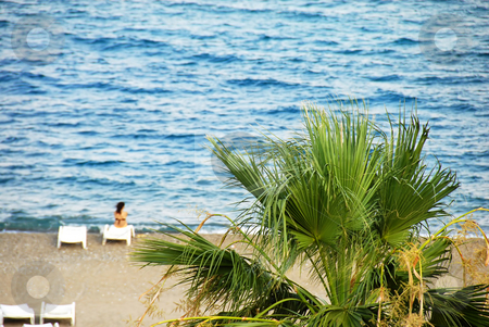 To use this stock image in your creative project, please select the size you need over to the right and click the "Add to Cart" button.
Your downloaded image will come with the Cutcaster watermark removed so don’t worry about the watermark you see on this page. Beach landscape stock photo, Beach landscape with palm and blue sea by Julija Sapic
