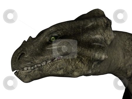 To use this stock image in your creative project, please select the size you need over to the right and click the "Add to Cart" button.
Your downloaded image will come with the Cutcaster watermark removed so don’t worry about the watermark you see on this page. Wyvern head stock photo, 3D rendered fantasy wyvern on white background isolated. by Patrik Ruzic