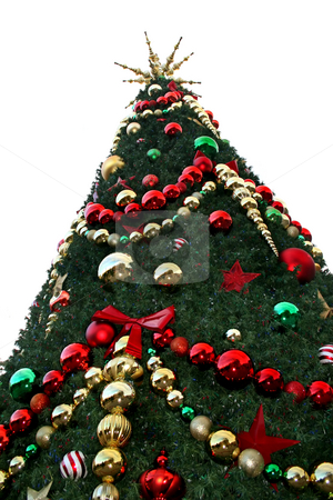 To use this stock image in your creative project, please select the size you need over to the right and click the "Add to Cart" button.
Your downloaded image will come with the Cutcaster watermark removed so don’t worry about the watermark you see on this page. Christmas Tree stock photo, A close-up of a large Christmas Tree. by Lucy Clark