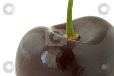 To use this stock image in your creative project, please select the size you need over to the right and click the "Add to Cart" button.
Your downloaded image will come with the Cutcaster watermark removed so don’t worry about the watermark you see on this page. Close-up of red cherry stock photo, Close-up of dark red cherry, with stalk. Isolated on white background. by Natalia Banegas