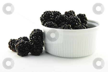 To use this stock image in your creative project, please select the size you need over to the right and click the "Add to Cart" button.
Your downloaded image will come with the Cutcaster watermark removed so don’t worry about the watermark you see on this page. Blackberries in a Small Round Dish stock photo, Delicious ripe blackberries in a small white round dish on a white background by Keith Wilson