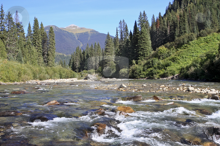 To use this stock image in your creative project, please select the size you need over to the right and click the "Add to Cart" button.
Your downloaded image will come with the Cutcaster watermark removed so don’t worry about the watermark you see on this page. River and Mountains stock photo, BC River with crystal clear water in BC Canada by Sharron Schiefelbein