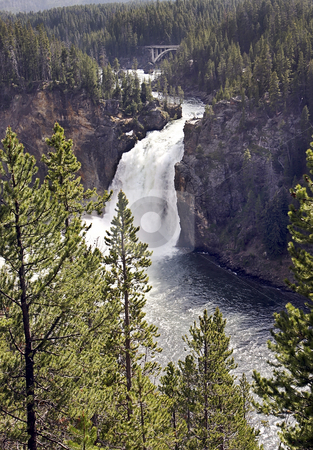 To use this stock image in your creative project, please select the size you need over to the right and click the "Add to Cart" button.
Your downloaded image will come with the Cutcaster watermark removed so don’t worry about the watermark you see on this page. Yellowstone River falls stock photo, Yellowstone River falls by Sharron Schiefelbein