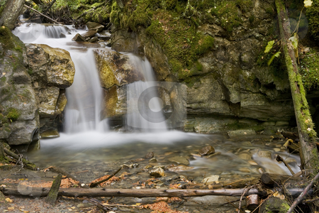 To use this stock image in your creative project, please select the size you need over to the right and click the "Add to Cart" button.
Your downloaded image will come with the Cutcaster watermark removed so don’t worry about the watermark you see on this page. Small Waterfall stock photo, A beautiful Waterfall surrounds by a forest by Sharron Schiefelbein