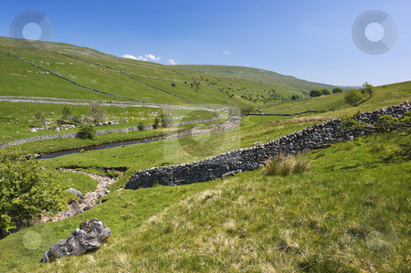 To use this stock image in your creative project, please select the size you need over to the right and click the "Add to Cart" button.
Your downloaded image will come with the Cutcaster watermark removed so don’t worry about the watermark you see on this page. Langstrothdale stock photo, Langstrothdale in Yorkshire Dales North Yorkshire England by Stephen Meese