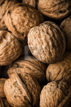To use this stock image in your creative project, please select the size you need over to the right and click the "Add to Cart" button.
Your downloaded image will come with the Cutcaster watermark removed so don’t worry about the watermark you see on this page. Walnuts stock photo, Series of organic and fresh walnuts by Jose Wilson Araujo