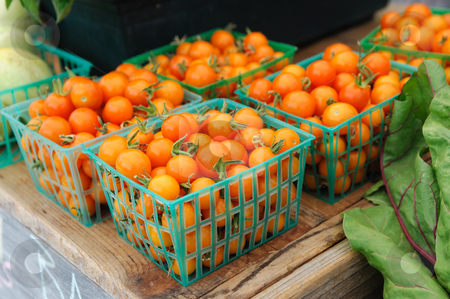 To use this stock image in your creative project, please select the size you need over to the right and click the "Add to Cart" button.
Your downloaded image will come with the Cutcaster watermark removed so don’t worry about the watermark you see on this page. Cherry Tomatoes stock photo, Baskets of small orange cherry tomatoes on display for sale at the farmers market by Lynn Bendickson