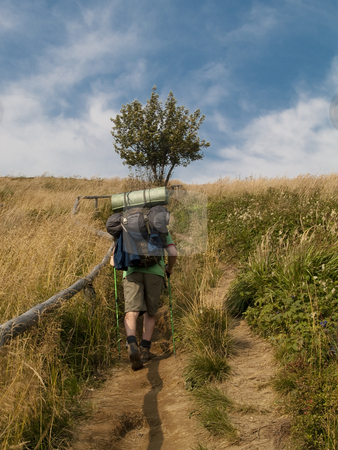 To use this stock image in your creative project, please select the size you need over to the right and click the "Add to Cart" button.
Your downloaded image will come with the Cutcaster watermark removed so don’t worry about the watermark you see on this page. Mountain trekking stock photo, Man on the mountain path - mountain trekking in polish mountain by Tomasz Parys