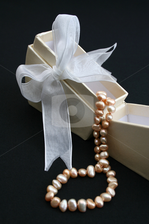 To use this stock image in your creative project, please select the size you need over to the right and click the "Add to Cart" button.
Your downloaded image will come with the Cutcaster watermark removed so don’t worry about the watermark you see on this page. Box stock photo, Small cream colored box with ribbon and pearl necklace by Vanessa Van Rensburg