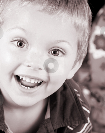 To use this stock image in your creative project, please select the size you need over to the right and click the "Add to Cart" button.
Your downloaded image will come with the Cutcaster watermark removed so don’t worry about the watermark you see on this page. Beautiful Boy stock photo, Beautiful blond toddler with a beautiful expression by Vanessa Van Rensburg