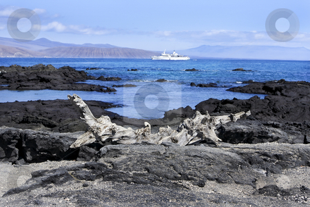 To use this stock image in your creative project, please select the size you need over to the right and click the "Add to Cart" button.
Your downloaded image will come with the Cutcaster watermark removed so don’t worry about the watermark you see on this page. Landscape of the Galapagos Islands stock photo, Seascape of the Galapagos Islands, Peru, South America by Sharron Schiefelbein