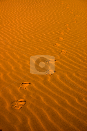 To use this stock image in your creative project, please select the size you need over to the right and click the "Add to Cart" button.
Your downloaded image will come with the Cutcaster watermark removed so don’t worry about the watermark you see on this page. Footsteps in the sand stock photo, Footsteps going into the distance on wind eroded sand by Darren Pattterson