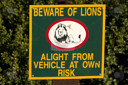 To use this stock image in your creative project, please select the size you need over to the right and click the "Add to Cart" button.
Your downloaded image will come with the Cutcaster watermark removed so don’t worry about the watermark you see on this page. Beware of Lions stock photo, Sign in southern african game park warning of the dangers of leaving your vehicle by Darren Pattterson
