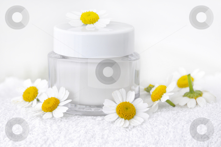 To use this stock image in your creative project, please select the size you need over to the right and click the "Add to Cart" button.
Your downloaded image will come with the Cutcaster watermark removed so don’t worry about the watermark you see on this page. Skin cosmetic stock photo, Skin cosmetic with camomile by Carmen Steiner