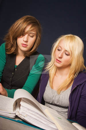 To use this stock image in your creative project, please select the size you need over to the right and click the "Add to Cart" button.
Your downloaded image will come with the Cutcaster watermark removed so don’t worry about the watermark you see on this page. Students at homework stock photo, Two girls doing their homework together by Mikhail Lavrenov