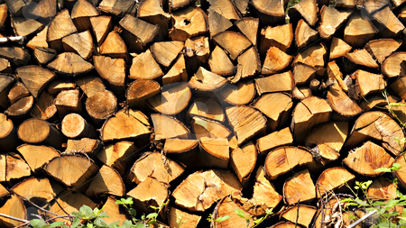 To use this stock image in your creative project, please select the size you need over to the right and click the "Add to Cart" button.
Your downloaded image will come with the Cutcaster watermark removed so don’t worry about the watermark you see on this page. Cut trees stock photo, Close up of cut trees wood in piles by Fabio Alcini
