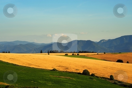 To use this stock image in your creative project, please select the size you need over to the right and click the "Add to Cart" button.
Your downloaded image will come with the Cutcaster watermark removed so don’t worry about the watermark you see on this page. Yellow fields and green meadows stock photo, Yellow fields and green meadows with mountains in background by Juraj Kovacik